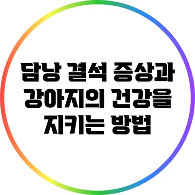 담낭 결석 증상과 강아지의 건강을 지키는 방법