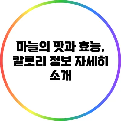 마늘의 맛과 효능, 칼로리 정보 자세히 소개