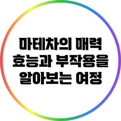 마테차의 매력: 효능과 부작용을 알아보는 여정