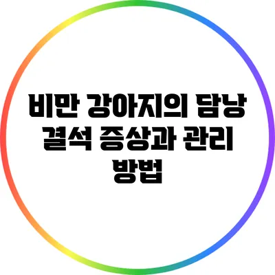 비만 강아지의 담낭 결석 증상과 관리 방법