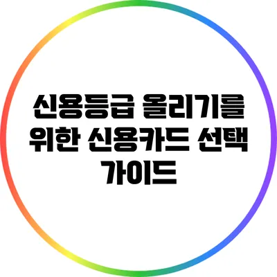 신용등급 올리기를 위한 신용카드 선택 가이드