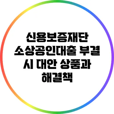 신용보증재단 소상공인대출 부결 시 대안 상품과 해결책