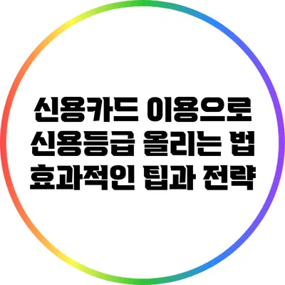 신용카드 이용으로 신용등급 올리는 법: 효과적인 팁과 전략