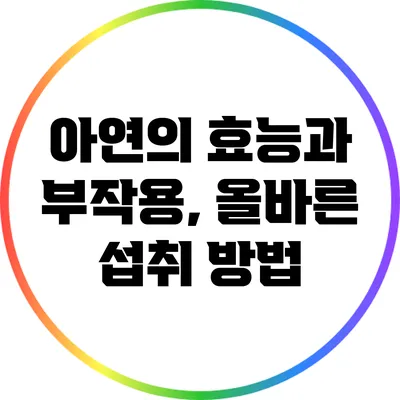 아연의 효능과 부작용, 올바른 섭취 방법