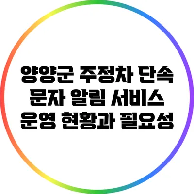 양양군 주정차 단속 문자 알림 서비스 운영 현황과 필요성