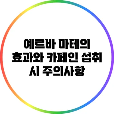 예르바 마테의 효과와 카페인: 섭취 시 주의사항