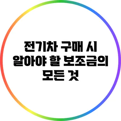 전기차 구매 시 알아야 할 보조금의 모든 것