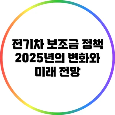 전기차 보조금 정책: 2025년의 변화와 미래 전망