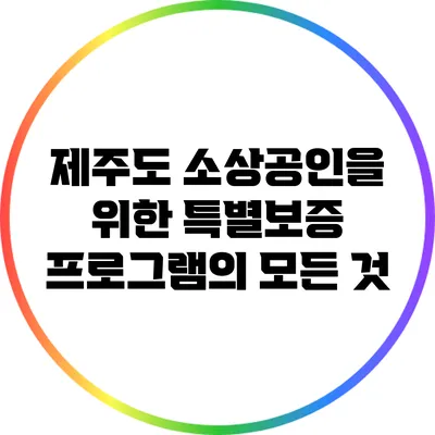 제주도 소상공인을 위한 특별보증 프로그램의 모든 것