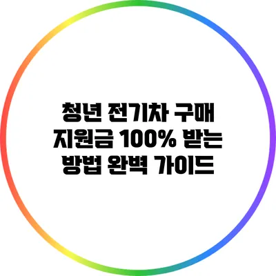 청년 전기차 구매 지원금 100% 받는 방법 완벽 가이드