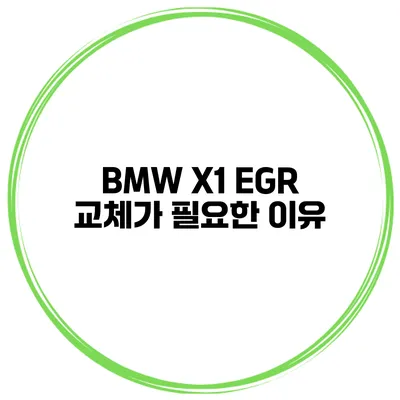 BMW X1 EGR 교체가 필요한 이유