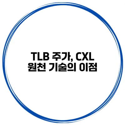 TLB 주가, CXL 원천 기술의 이점