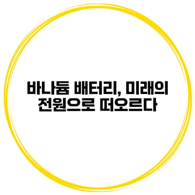 바나듐 배터리, 미래의 전원으로 떠오르다