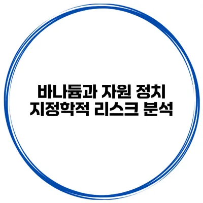 바나듐과 자원 정치 지정학적 리스크 분석