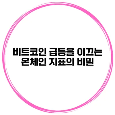 비트코인 급등을 이끄는 온체인 지표의 비밀