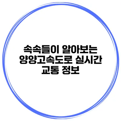 속속들이 알아보는 양양고속도로 실시간 교통 정보
