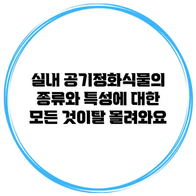실내 공기정화식물의 종류와 특성에 대한 모든 것이탈 몰려와요