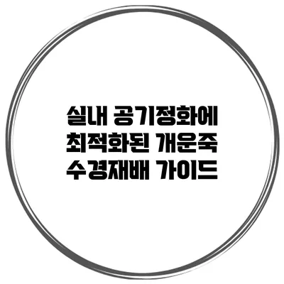 실내 공기정화에 최적화된 개운죽 수경재배 가이드