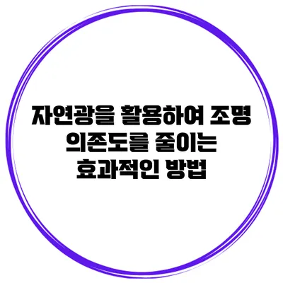 자연광을 활용하여 조명 의존도를 줄이는 효과적인 방법