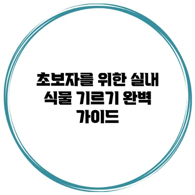 초보자를 위한 실내 식물 기르기 완벽 가이드