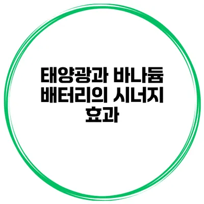 태양광과 바나듐 배터리의 시너지 효과