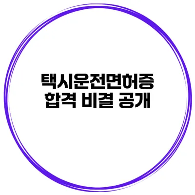 택시운전면허증 합격 비결 공개