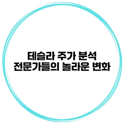 테슬라 주가 분석 전문가들의 놀라운 변화