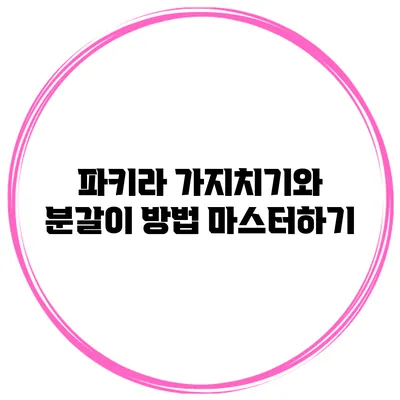 파키라 가지치기와 분갈이 방법 마스터하기
