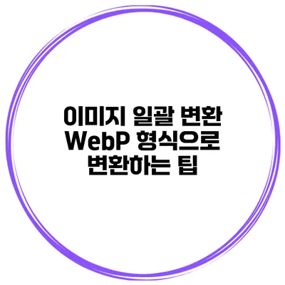 이미지 일괄 변환 WebP 형식으로 변환하는 팁